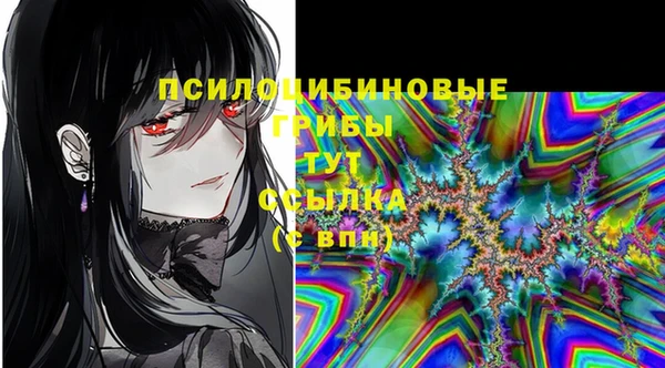 мяу мяу мука Баксан