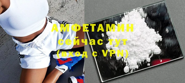 шишки Балахна