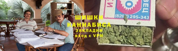шишки Балахна