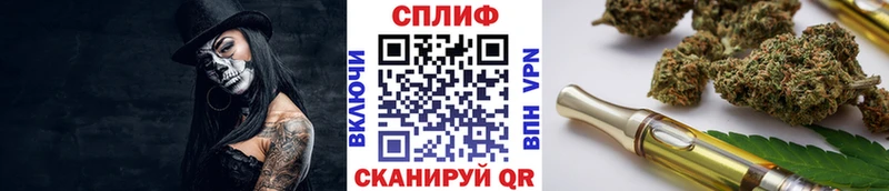 Конопля конопля Галич